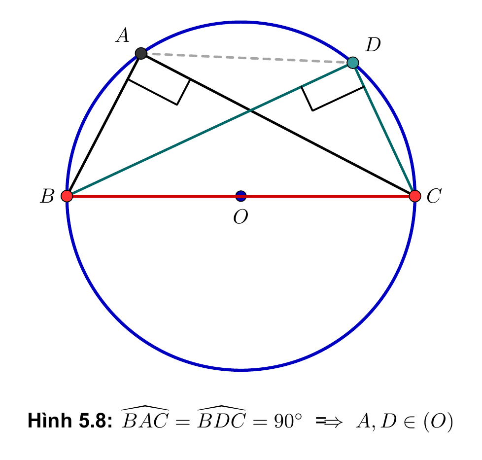 Hình 5.8: Tứ giác nội tiếp đường kính BC